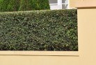Younghard-landscaping-surfaces-8.jpg; ?>