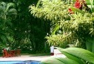Youngtropical-landscaping-17.jpg; ?>