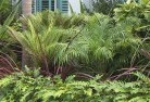 Youngtropical-landscaping-2.jpg; ?>